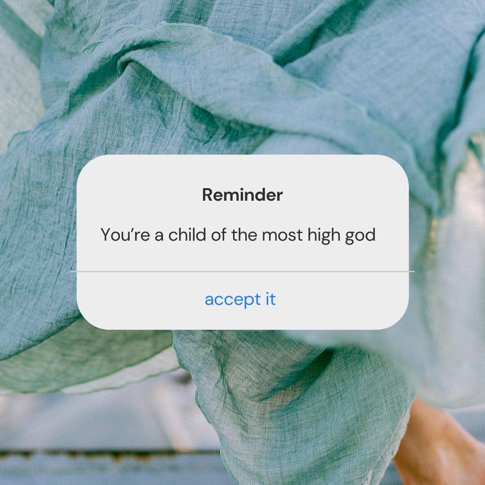 Meet your Posher, Felix